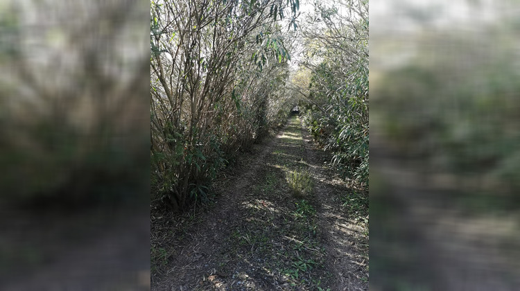 Ma-Cabane - Vente Terrain BEZIERS, 1970 m²