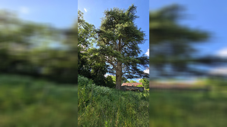 Ma-Cabane - Vente Terrain BIARD, 2372 m²