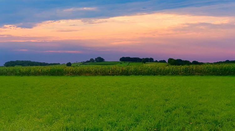 Ma-Cabane - Vente Terrain BIDACHE, 11000 m²