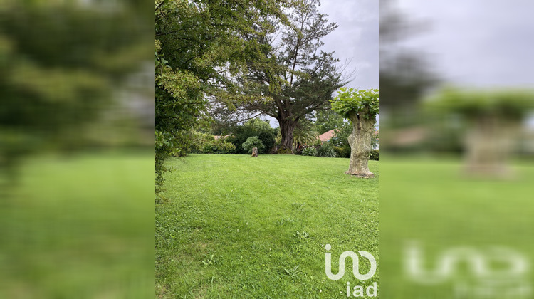Ma-Cabane - Vente Terrain Bidart, 717 m²