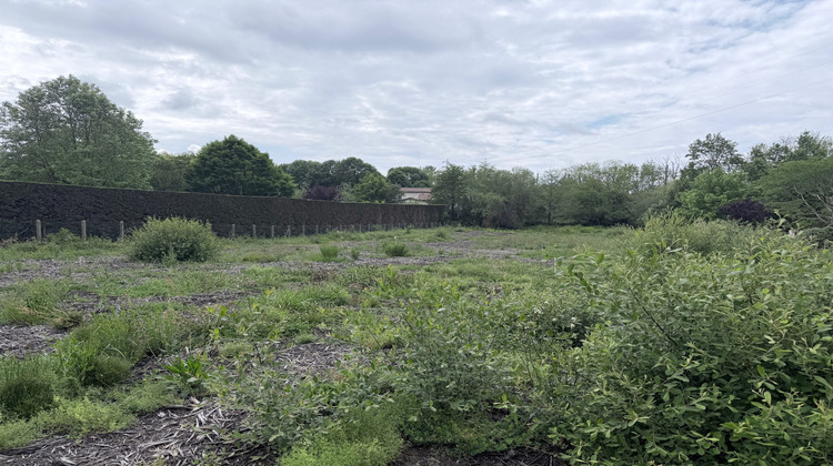Ma-Cabane - Vente Terrain Bidart, 570 m²