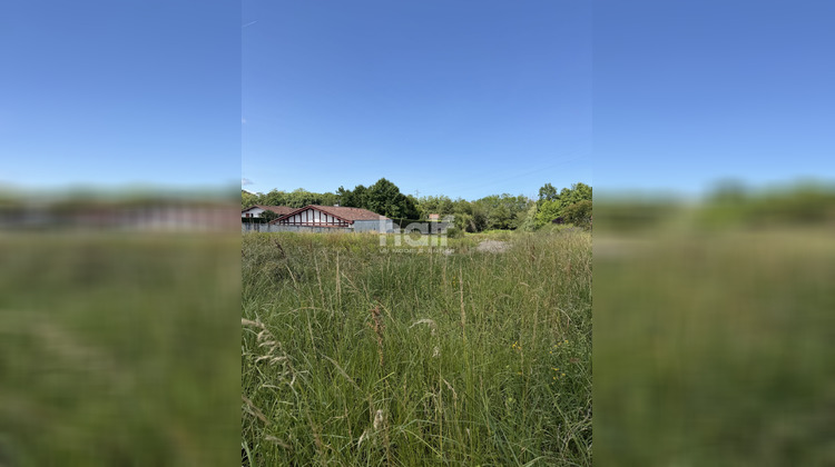 Ma-Cabane - Vente Terrain Bidart, 570 m²