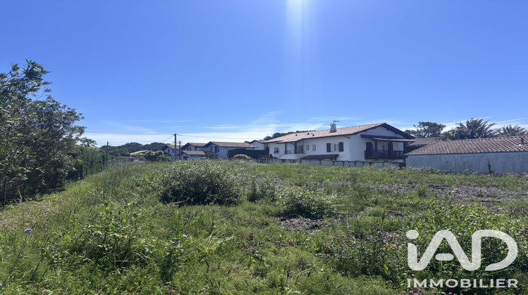 Ma-Cabane - Vente Terrain Bidart, 673 m²
