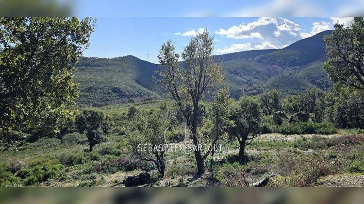 Ma-Cabane - Vente Terrain Biguglia, 2000 m²