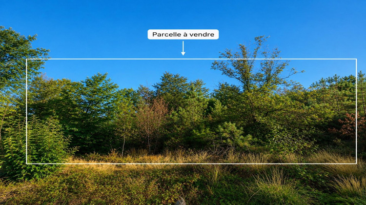 Ma-Cabane - Vente Terrain Billio, 9990 m²