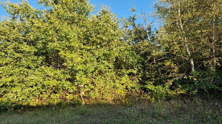 Ma-Cabane - Vente Terrain BILLY, 2360 m²