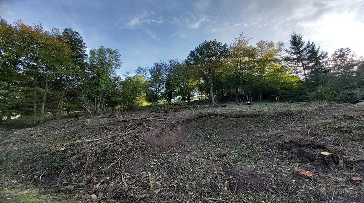 Ma-Cabane - Vente Terrain Blienschwiller, 1891 m²