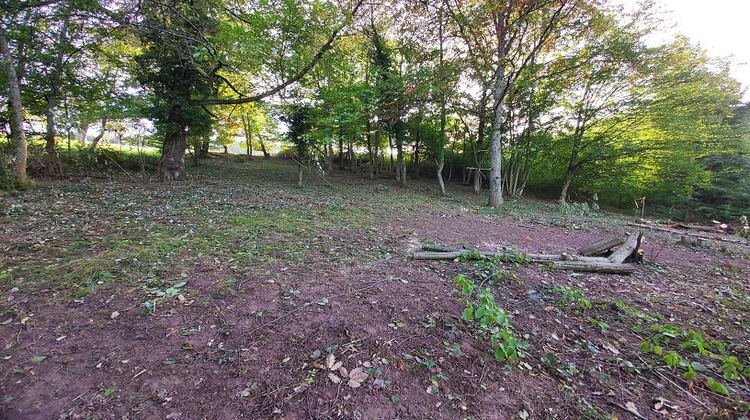 Ma-Cabane - Vente Terrain Blienschwiller, 1891 m²