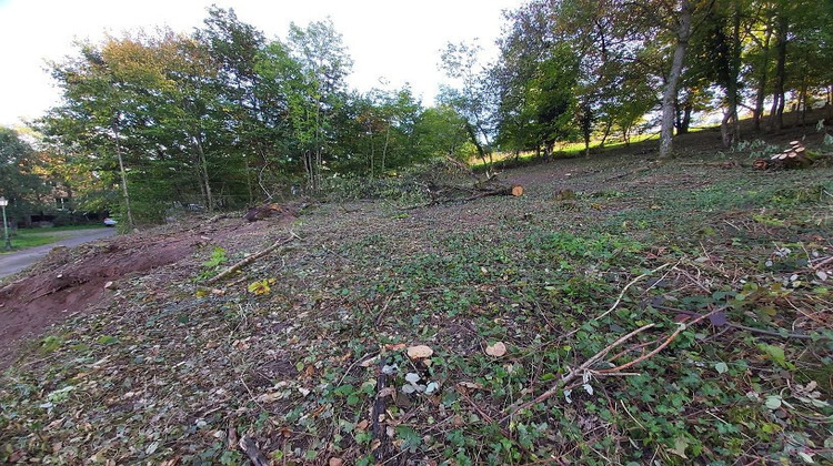 Ma-Cabane - Vente Terrain Blienschwiller, 1891 m²