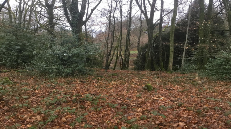 Ma-Cabane - Vente Terrain Bonnac-la-Cote, 4630 m²