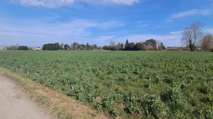 Ma-Cabane - Vente Terrain BORDERES SUR L ECHEZ, 9068 m²