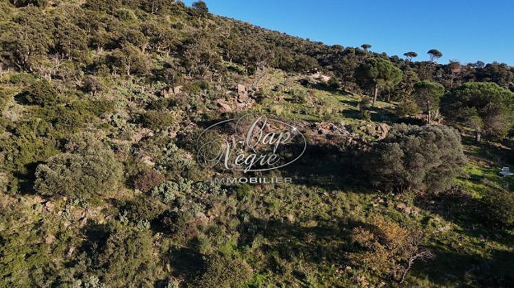 Ma-Cabane - Vente Terrain BORMES-LES-MIMOSAS, 24850 m²