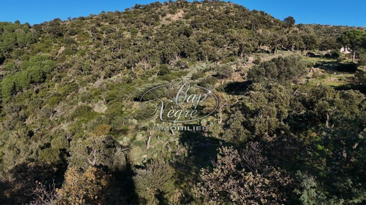 Ma-Cabane - Vente Terrain BORMES-LES-MIMOSAS, 24850 m²