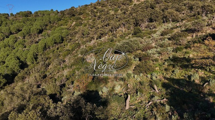Ma-Cabane - Vente Terrain BORMES-LES-MIMOSAS, 24850 m²