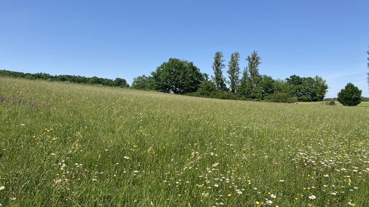 Ma-Cabane - Vente Terrain Born de champs, 8000 m²