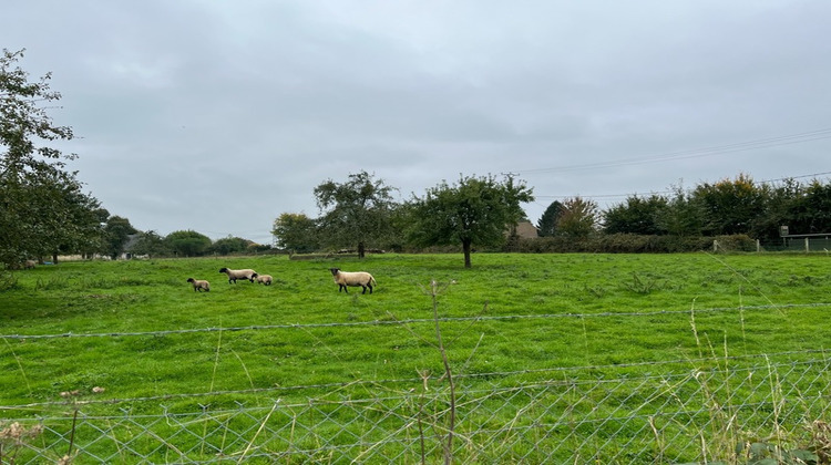 Ma-Cabane - Vente Terrain BOSC LE HARD HARD, 1000 m²