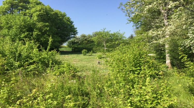 Ma-Cabane - Vente Terrain Bouhy, 1172 m²