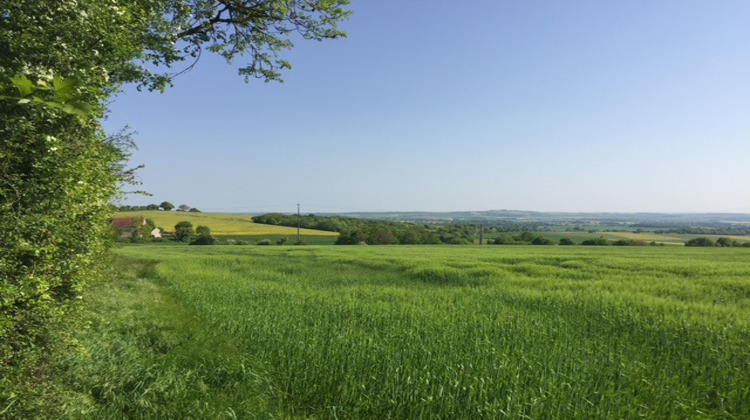 Ma-Cabane - Vente Terrain Bouhy, 1172 m²