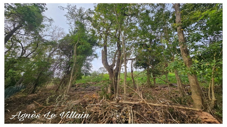 Ma-Cabane - Vente Terrain BOUILLANTE, 1059 m²