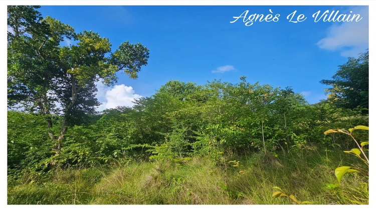 Ma-Cabane - Vente Terrain BOUILLANTE, 2983 m²