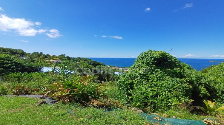 Ma-Cabane - Vente Terrain BOUILLANTE, 4516 m²