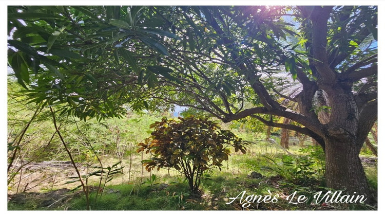 Ma-Cabane - Vente Terrain BOUILLANTE, 1501 m²