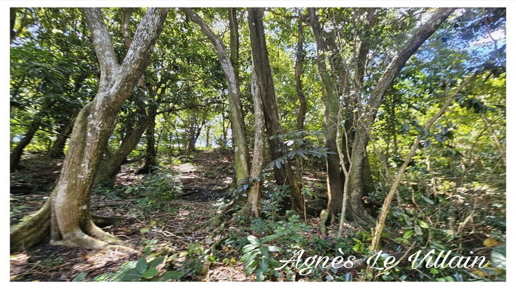 Ma-Cabane - Vente Terrain BOUILLANTE, 3123 m²