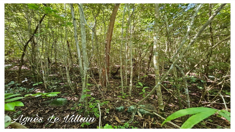 Ma-Cabane - Vente Terrain BOUILLANTE, 2382 m²
