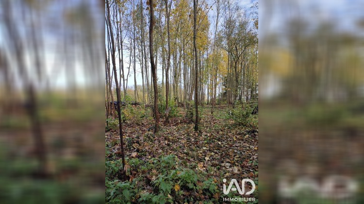 Ma-Cabane - Vente Terrain Boult sur Suippe, 4900 m²