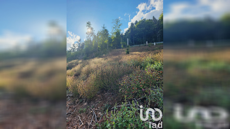 Ma-Cabane - Vente Terrain Bourbach-le-Haut, 1324 m²