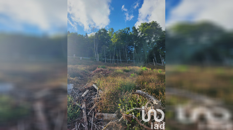 Ma-Cabane - Vente Terrain Bourbach-le-Haut, 1147 m²