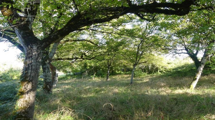 Ma-Cabane - Vente Terrain Bourdeilles, 1957 m²