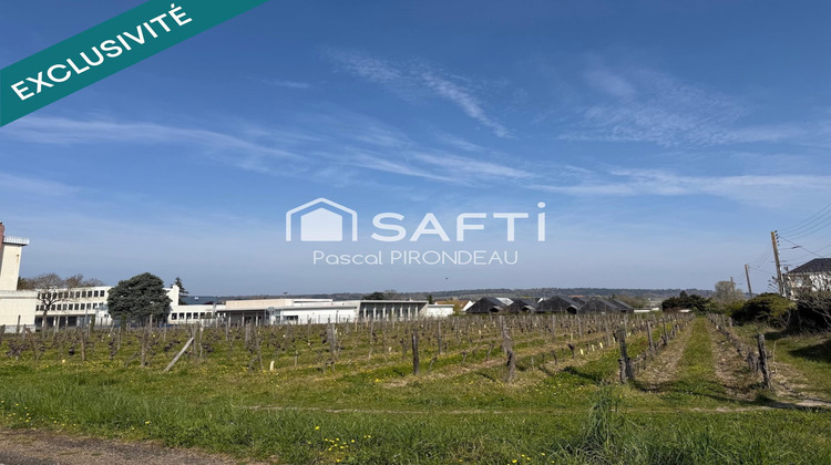 Ma-Cabane - Vente Terrain Bourgueil, 5989 m²