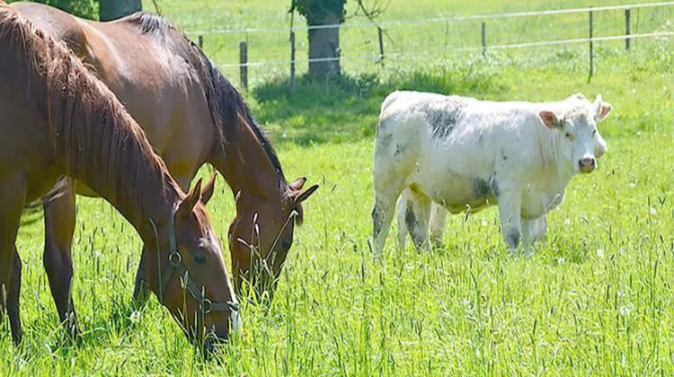 Ma-Cabane - Vente Terrain Boussières-sur-Sambre, 0 m²