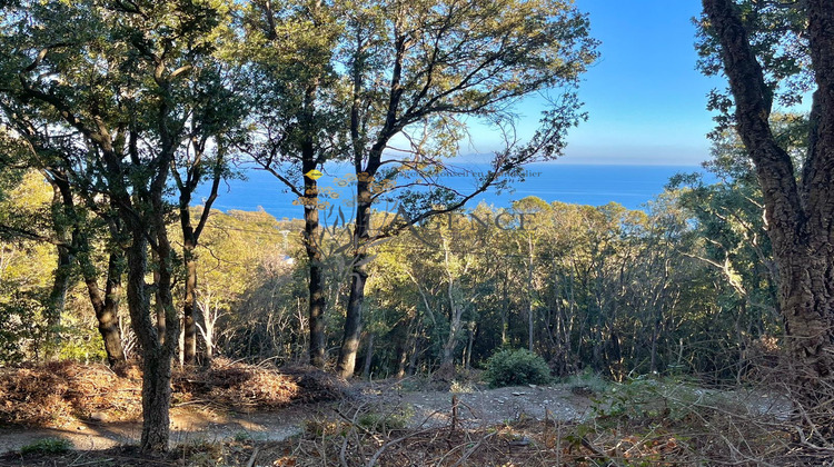 Ma-Cabane - Vente Terrain Brando, 1562 m²