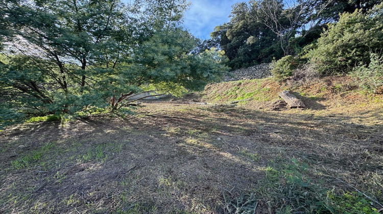 Ma-Cabane - Vente Terrain BRANDO, 1259 m²