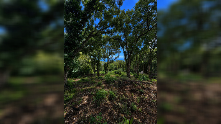 Ma-Cabane - Vente Terrain Brando, 1562 m²