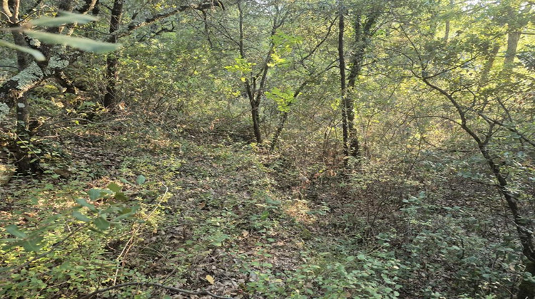 Ma-Cabane - Vente Terrain BRAS, 15720 m²