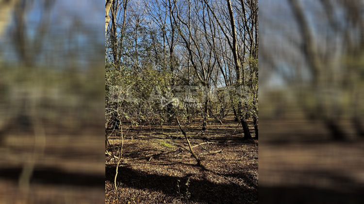 Ma-Cabane - Vente Terrain Bras, 4148 m²