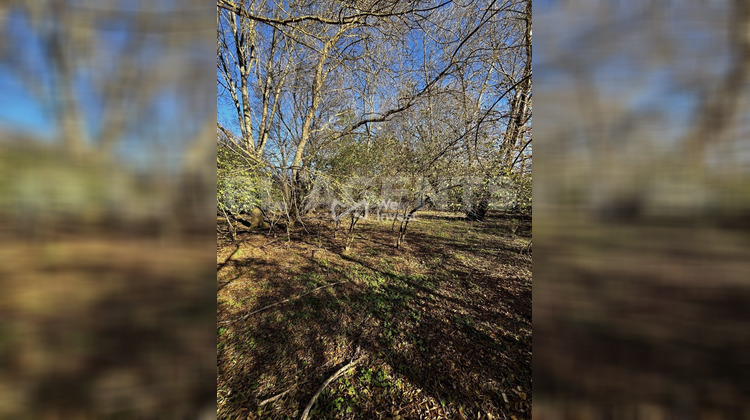 Ma-Cabane - Vente Terrain Bras, 4148 m²