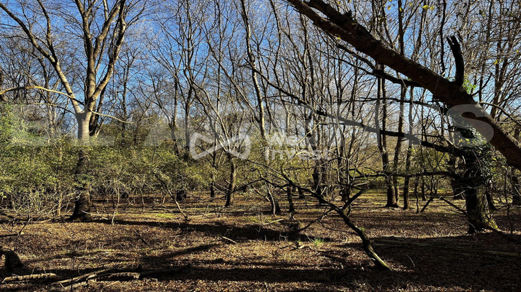 Ma-Cabane - Vente Terrain Bras, 4148 m²