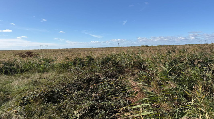 Ma-Cabane - Vente Terrain BRAUD ET SAINT LOUIS, 100070 m²