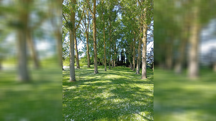 Ma-Cabane - Vente Terrain Braye-sous-Faye, 6900 m²