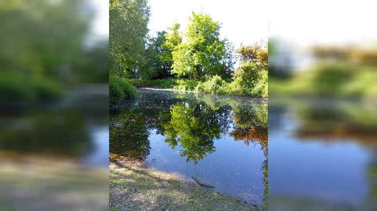 Ma-Cabane - Vente Terrain Braye-sous-Faye, 6900 m²