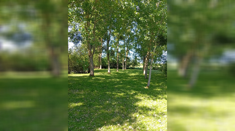 Ma-Cabane - Vente Terrain Braye-sous-Faye, 6900 m²