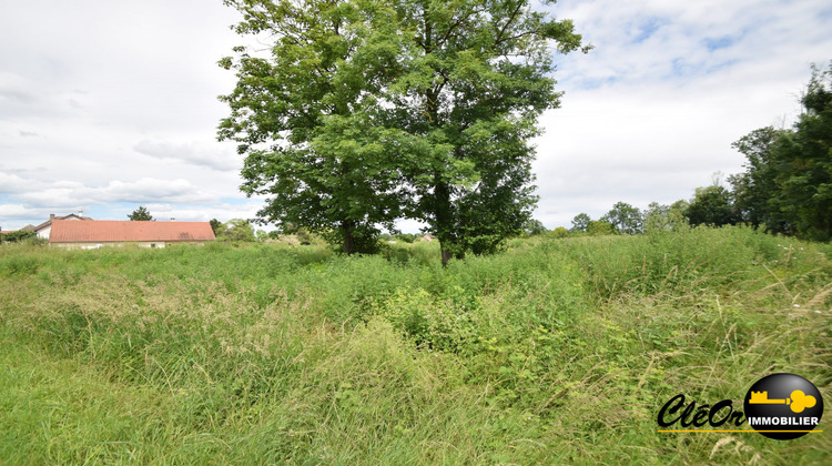 Ma-Cabane - Vente Terrain Brazey-en-Plaine, 2875 m²