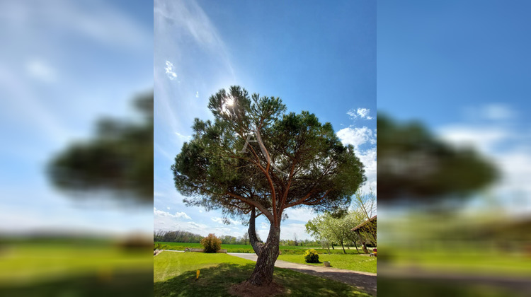 Ma-Cabane - Vente Terrain BRENS, 978 m²