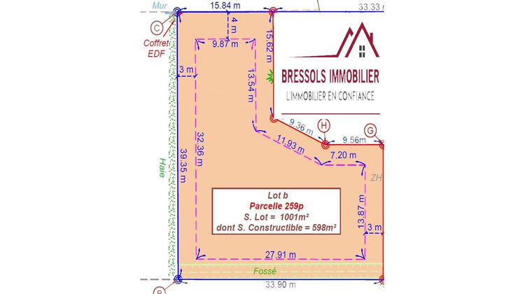 Ma-Cabane - Vente Terrain Bressols, 1001 m²