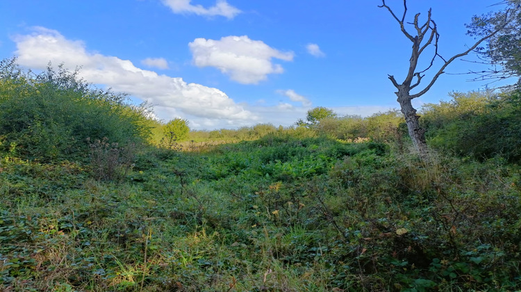 Ma-Cabane - Vente Terrain Bréviaires, 5220 m²