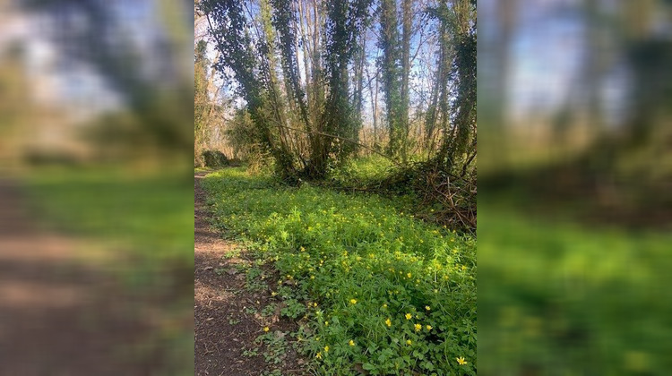 Ma-Cabane - Vente Terrain Briarres-sur-Essonne, 558 m²